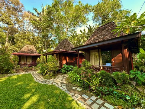Property building, Day, Natural landscape, Garden view