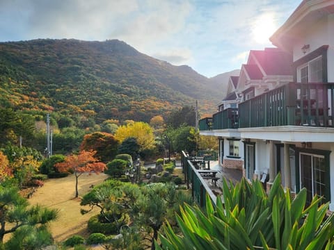 Property building, Natural landscape, Garden view