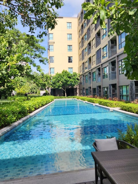 Pool view, Swimming pool
