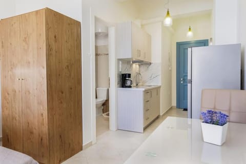 Naxian Place 2 Apartment in Agios Prokopios