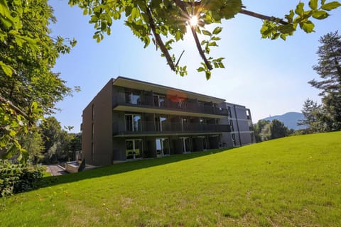 Property building, Summer