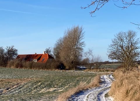 Day, Natural landscape, Winter