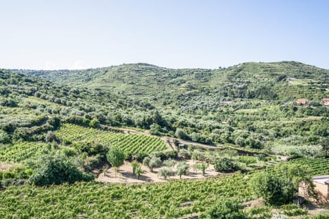 Nearby landmark, Natural landscape