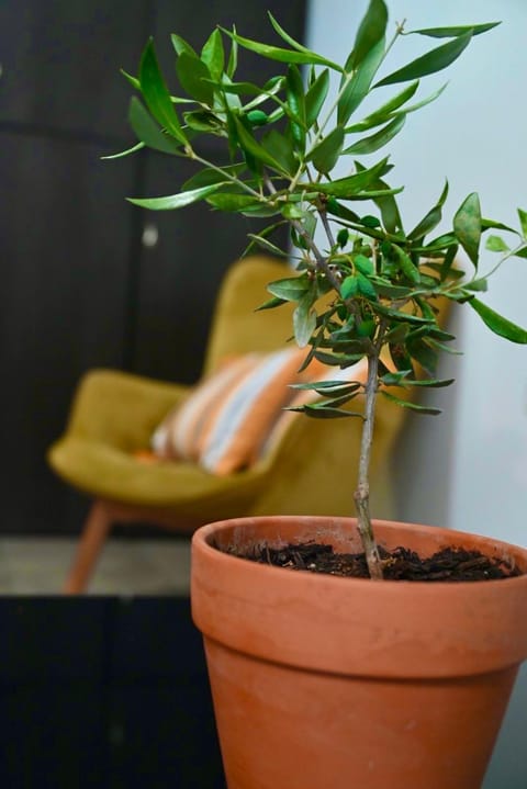 Olivia Apartment Apartment in Alexandroupoli