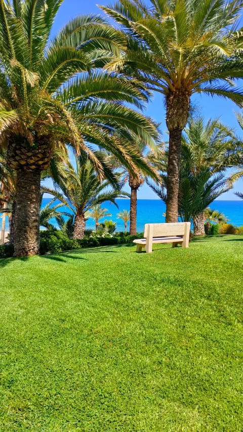 Beach, Sea view