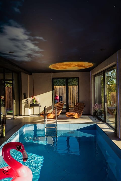 Seating area, Swimming pool, sunbed