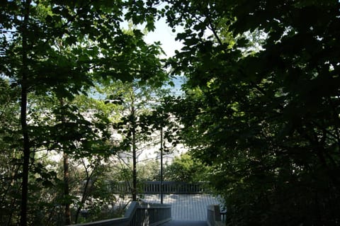 ApartWest Słoneczna Dolina Jastrzębia Góra Apartment in Pomeranian Voivodeship