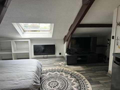 LE VICTORIA Apartment in Besançon