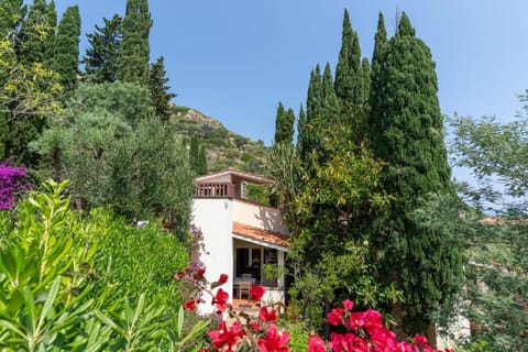 Villa Cipresso Villa in Tuscany