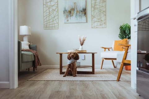 Sage Haven #5 Apartment in Johnson City