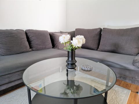 Vacation home Ivana Apartment in Vojvodina