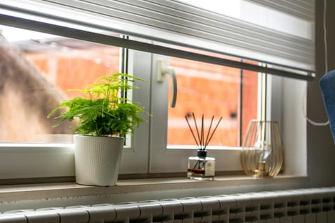 Living room, Area and facilities