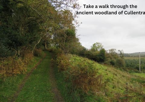 Innisfreedom cabin Cabin in County Sligo
