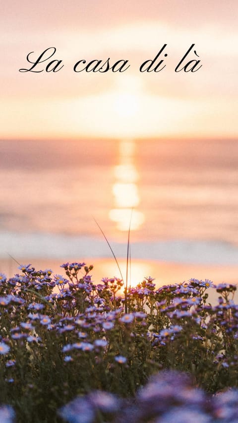 Natural landscape, Beach, Sea view, Sunset