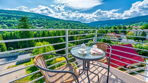 Natural landscape, Balcony/Terrace, Mountain view