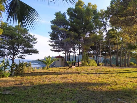 Natural landscape