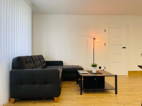 Alto Turtas Apartamentai Apartment in Lithuania
