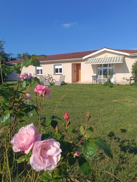 Property building, Spring, Day, Garden, Garden view