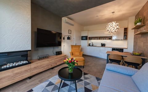Living room, kitchen