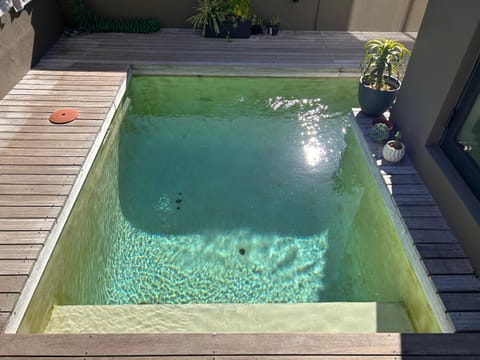 Day, Balcony/Terrace, Pool view, Swimming pool