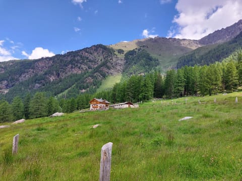 Agriturismo Malga Pontevecchio Farm Stay in Trentino-South Tyrol