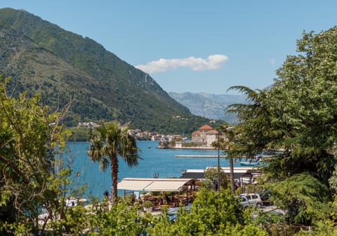 Ocea Studio Apartments Apartment in Dobrota