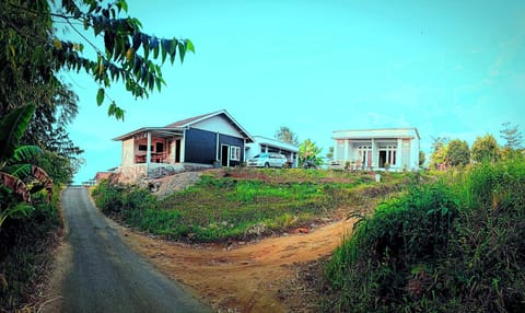 Natural landscape, Garden, Garden view