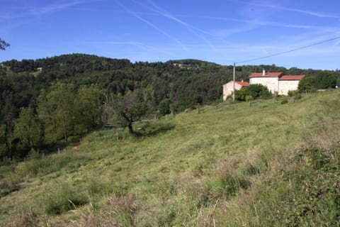 Natural landscape, Garden, Garden, Mountain view