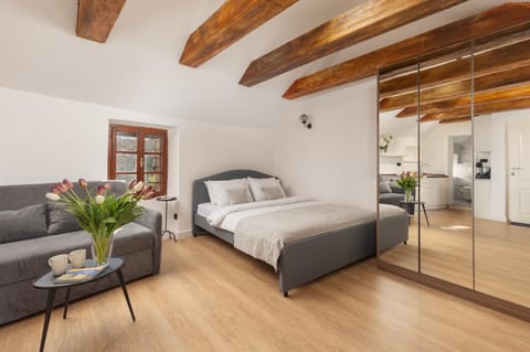 Old Town South Gate Apartment Apartment in Kotor