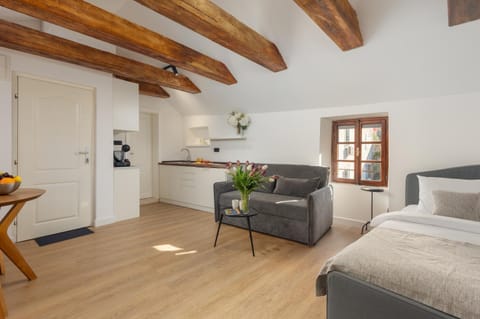 Old Town South Gate Apartment Apartment in Kotor