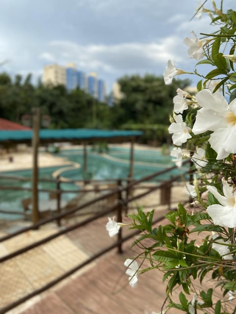 Day, Natural landscape, Pool view, Swimming pool