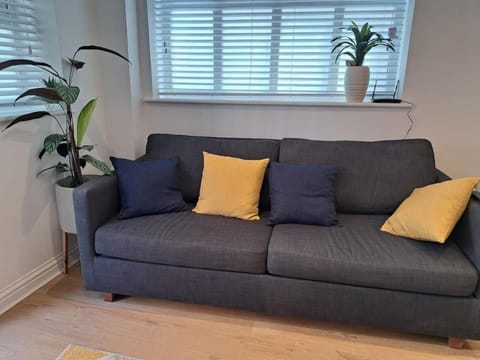 Modern city house Apartment in Southampton