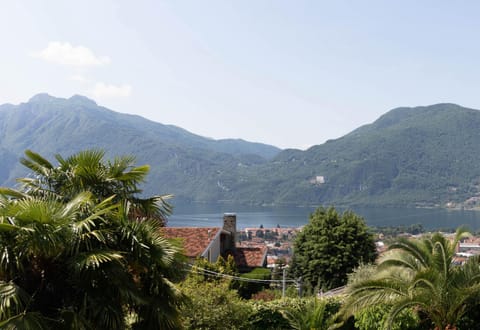 Mamma Ciccia Holiday Home - Mountains & Lake Apartment in Mandello del Lario