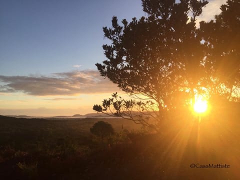 Natural landscape, Sunrise