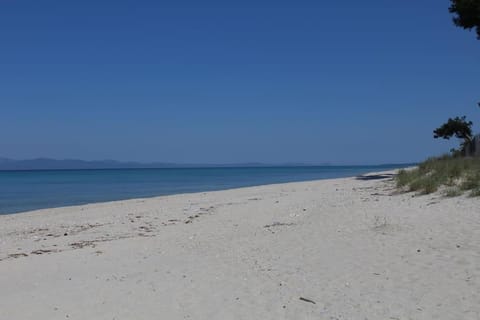 Day, Beach
