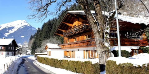 Property building, Winter