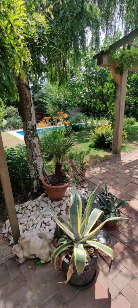 Garden, Balcony/Terrace, Swimming pool