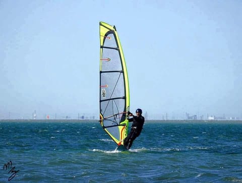 Other