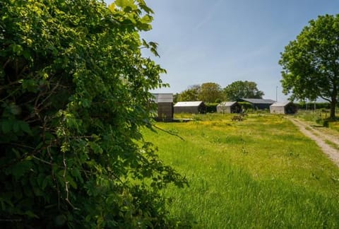 Natuurhuisjes Lust en Last Nature lodge in Zeeland, Netherlands