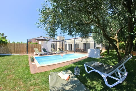 Patio, Natural landscape, Garden, Garden view, Swimming pool, sunbed