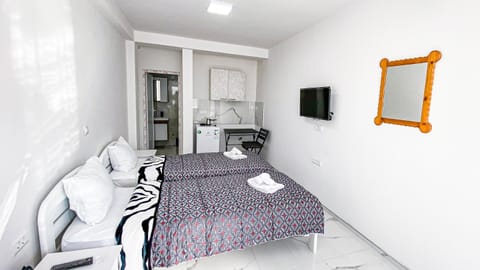 Vila Shogun Apartment in Ohrid