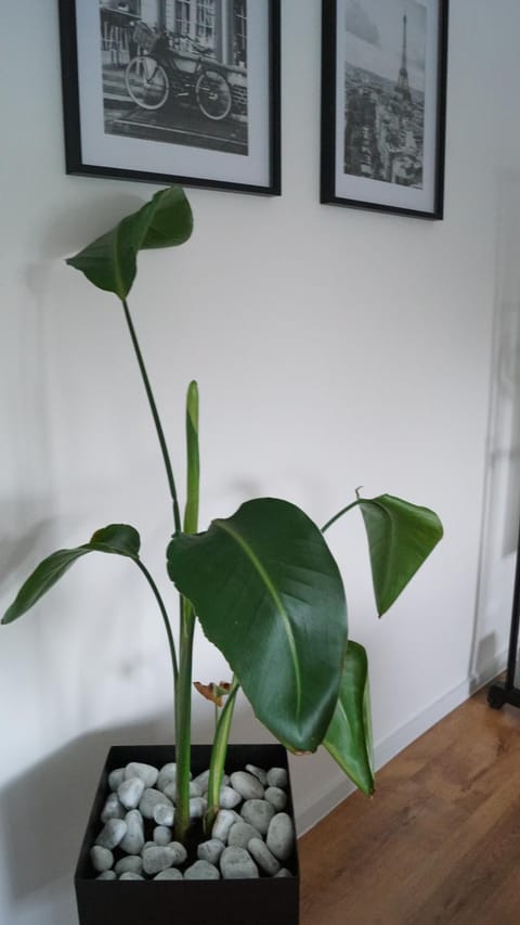 Ferienwohnung Siegen Apartment in Siegen