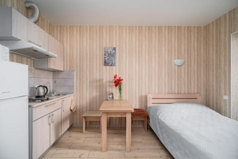 Bed, Kitchen or kitchenette, Photo of the whole room, Dining area, Bedroom, kitchen