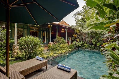Patio, Day, Garden, Garden view, sunbed
