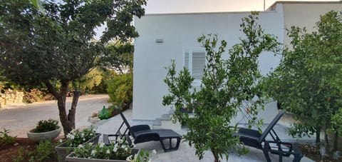 Garden, Parking, sunbed
