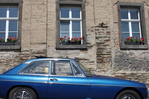 Villa Laubach Villa in Cochem-Zell