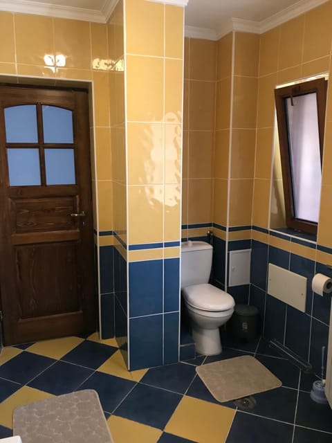 Casa Ștefan Vacation rental in Serbia