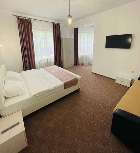 Casa Ștefan Vacation rental in Serbia