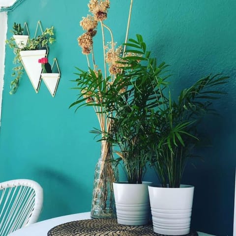 Babushka Apartments House in Halkidiki