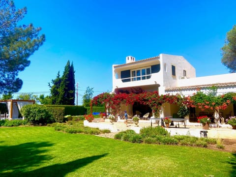 Property building, Table tennis, Garden view, Dinner